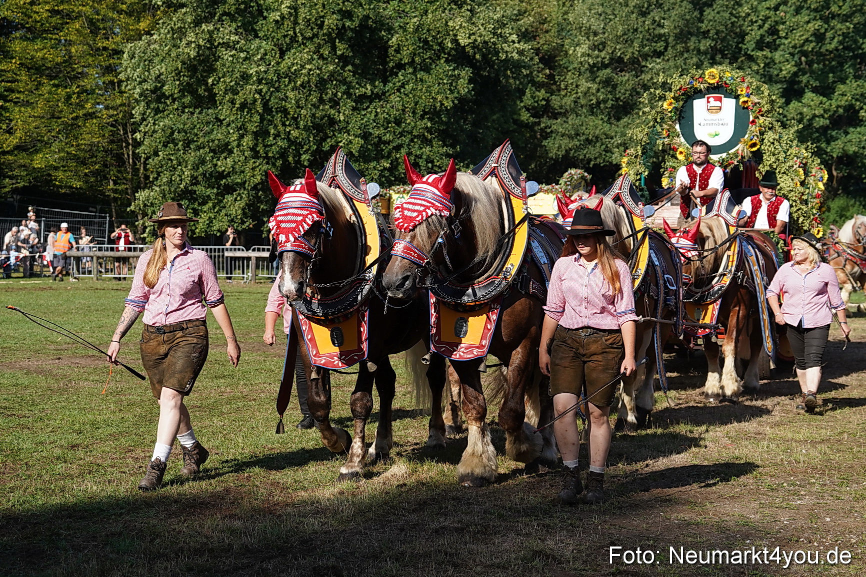 Pferde und Fohlenschau 2022 0052 